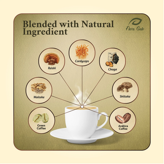 Flora Gate Mushroom Coffee 5 in 1 Hazelnut 3+1 Bundle 30 Sachets Each Unsweetened Without Sucralose
