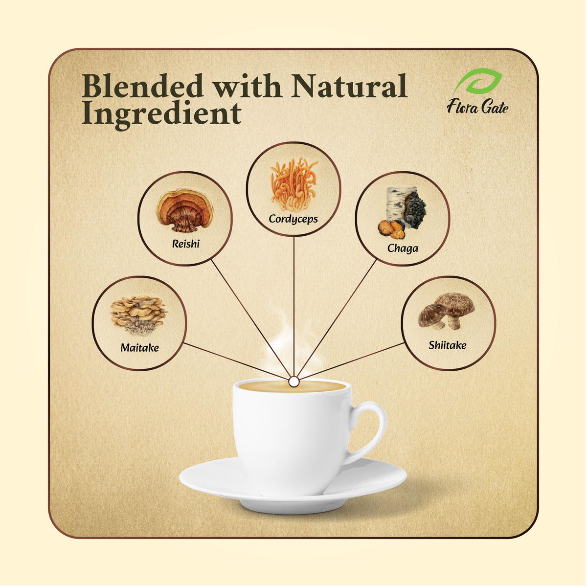 Floragate Mushroom Coffee 5 in 1 Hazelnut 30 Sachets (Sweetened With Sucralose)