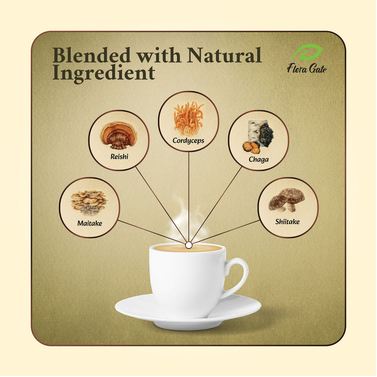 Floragate Mushroom Coffee 5 in 1 Hazelnut 3+1 Bundle 30 Sachets Each Unsweetened Without Sucralose